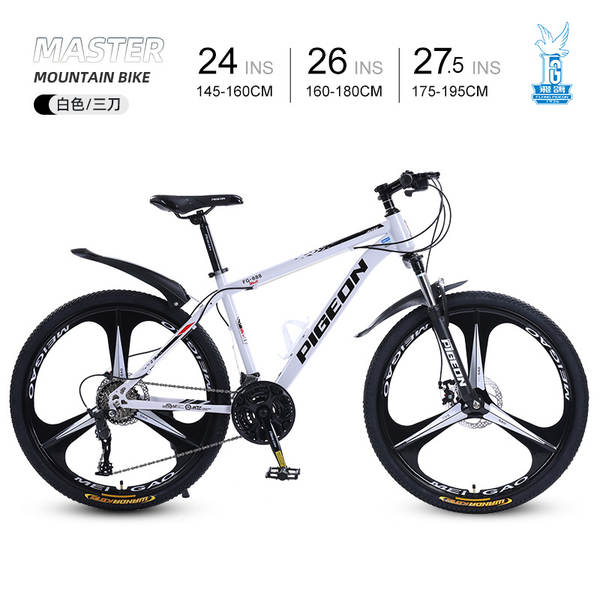 Bicicleta de Montanha 24 Polegadas