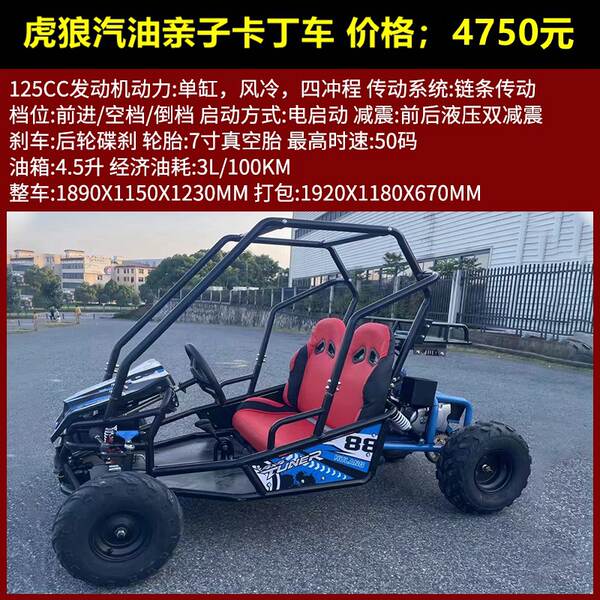 UTV Carton quatro rodas motocicleta off-road 125cc-230cc todo-terreno carro de praia adulto duplo assento elétrico