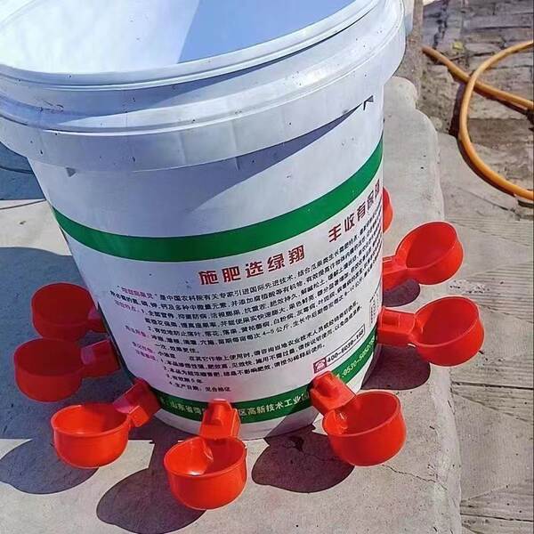 Bebedouro Automático para Aves