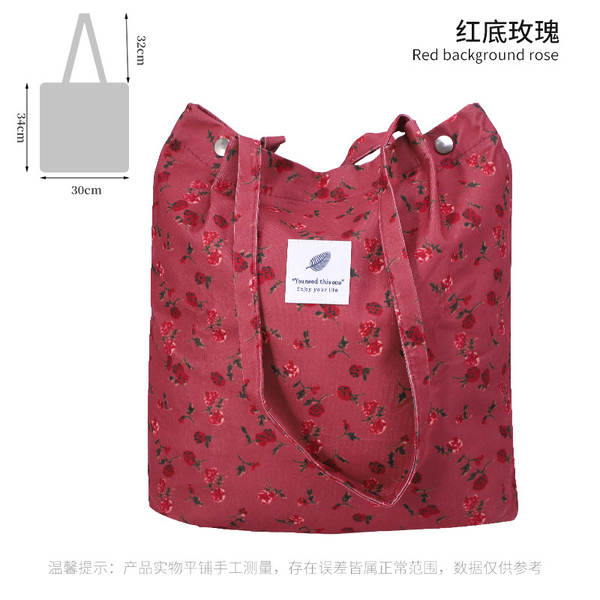 ins风简约灯芯绒帆布包双肩带帆布袋旅行外出收纳包女包单肩包