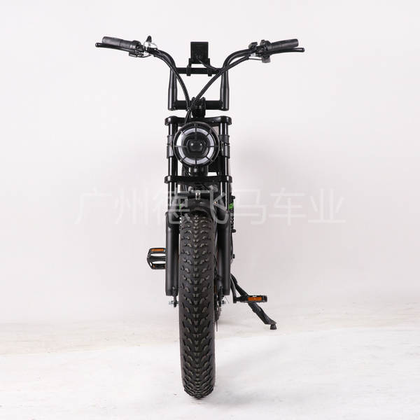 Bicicleta Elétrica 7 Velocidades