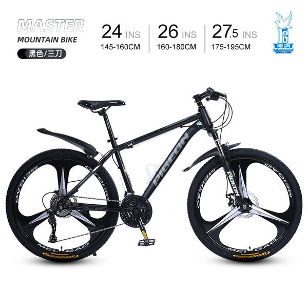 Bicicleta de Montanha 24 Polegadas