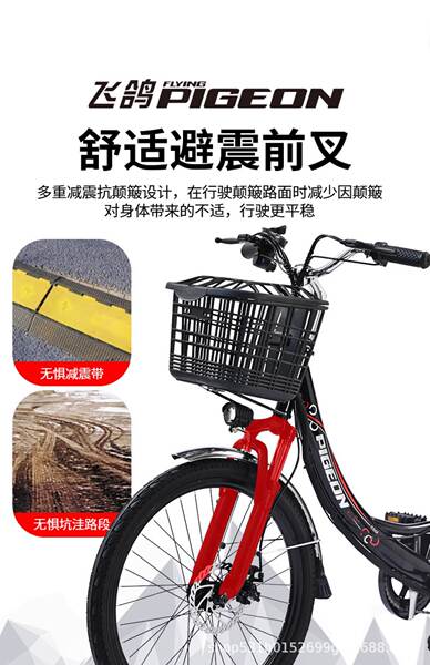 Bicicleta Elétrica para Adultos