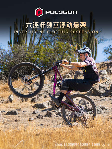 POLYGON Collosus N9 Enduro automóvel de montanha-russa de liga de alumínio
