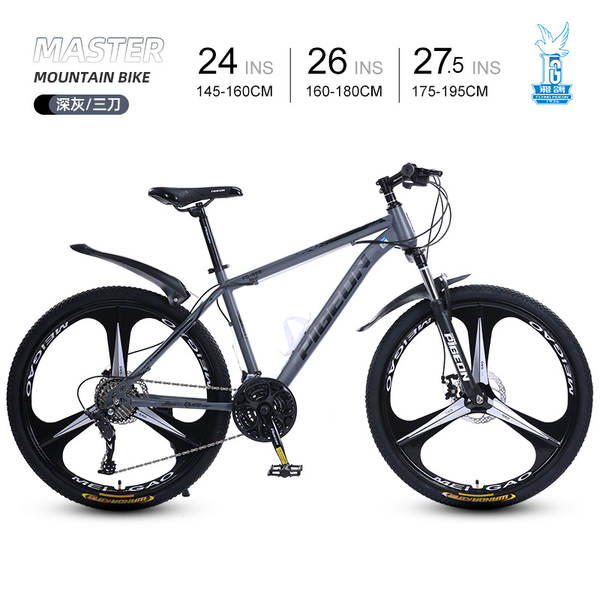 Bicicleta de Montanha 24 Polegadas
