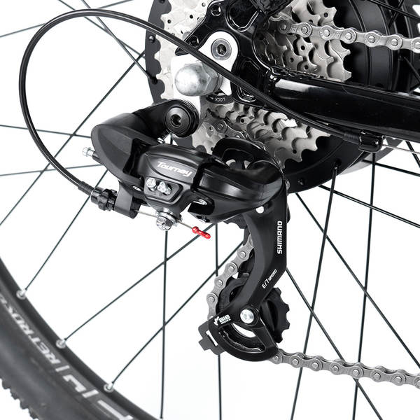 Ciclismo elétrico CYCTRAC E300 motor traseiro retangular de oito forças 48V13A