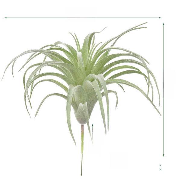 A árvore do gato simulação de plantas 15cm ar Phoenix plantação de pelúcia multi-carne mini-ar plantação de parede verde decoração de erva artificial