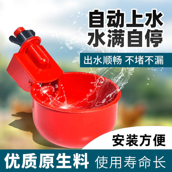 Bebedouro Automático para Aves