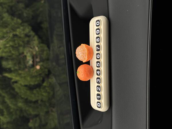 Placa de Estacionamento Temporária para Carro