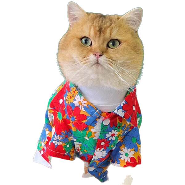 Cães roupas Cães Pequenos Cães Verão T-shirts Flores Roupa de praia Sennarico Quibago Gato Bear Pets
