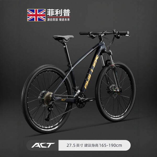 Bicicletas de montanha de fibra de carbono da Philips para adultos masculinos de 33 velocidades para bicicletas de montanha ultra-leves
