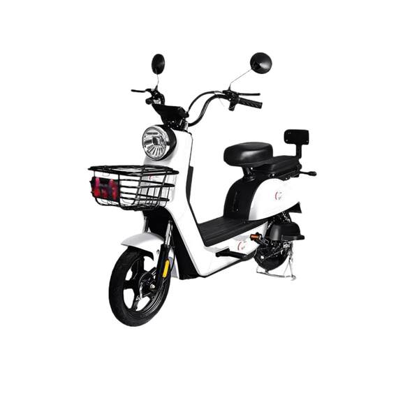 Budget-Friendly Electric Mountain Bike - High Performance fo