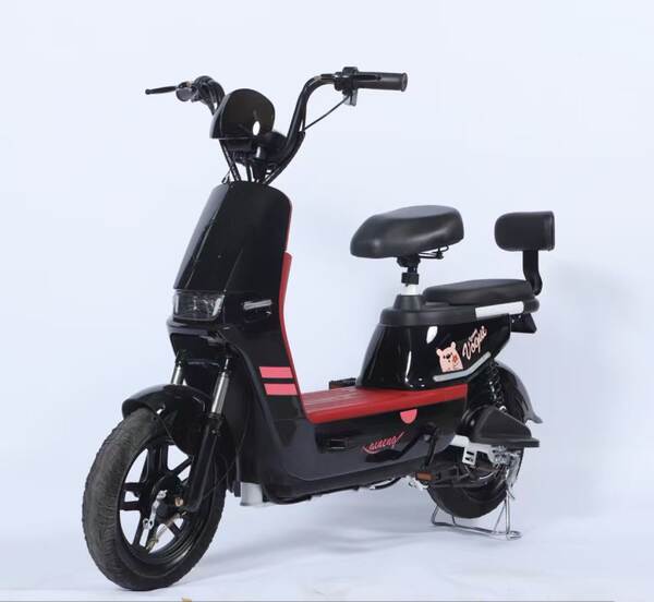 Novo veículo elétrico para adultos com duas rodas