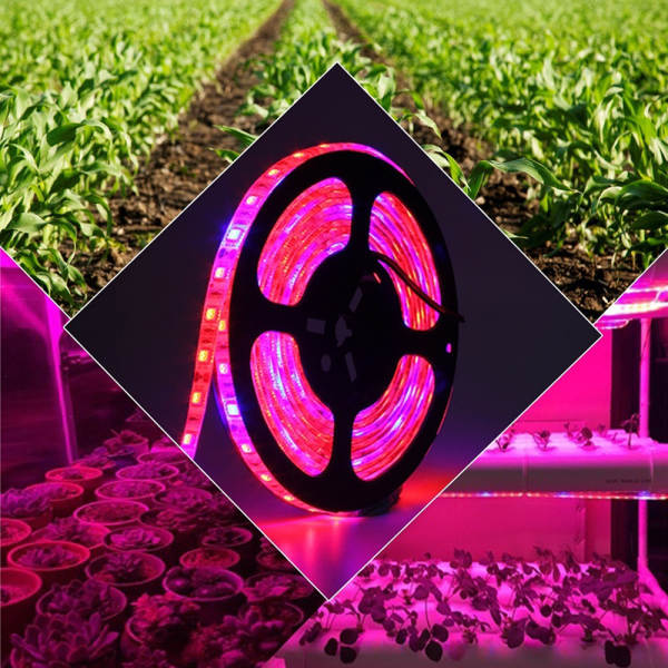 Luz transfronteiriça de crescimento de plantas USB 5V2835LDE todo o espectro impermeável luz de plantas vermelho-azul espectro de iluminação complexa