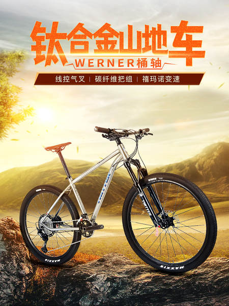 WERNER M8100-2*12 Bicicleta de corrida de velocidade transversal XC para adultos