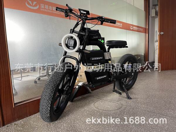 Bicicleta elétrica off-road 60V40AH dupla bateria off-road bicicleta elétrica de montanha 20 polegadas pneus off-road