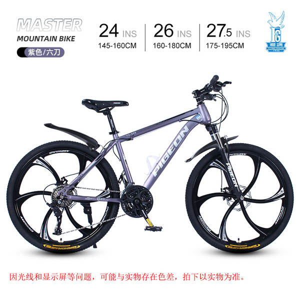 Bicicleta de Montanha 24 Polegadas
