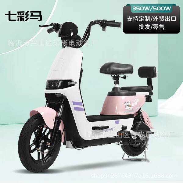 2024 carro elétrico de venda a quente bicicleta de duas rodas adulto garrafas elétricas para caminhão fábrica de exportação