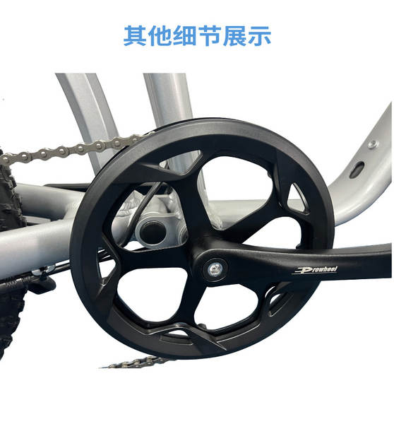 Fornecimento transfronteiriço de motores de 20 polegadas para carros de neve e motores para bicicletas com frenagem dianteira e traseira com bateria de lítio de 48V
