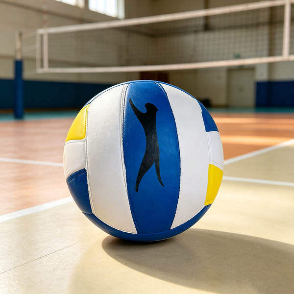 Bola de Handebol Escolar