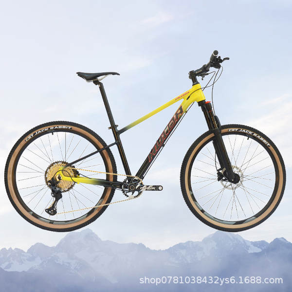 Fibra de carbono Freio de disco duplo Bicicletas Bicicletas Comodidade leve Transmissão Bicicletas Bicicletas de montanha