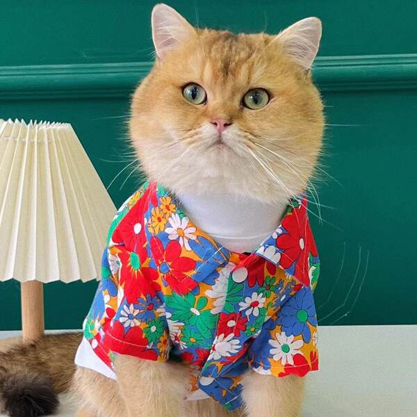 Cães roupas Cães Pequenos Cães Verão T-shirts Flores Roupa de praia Sennarico Quibago Gato Bear Pets