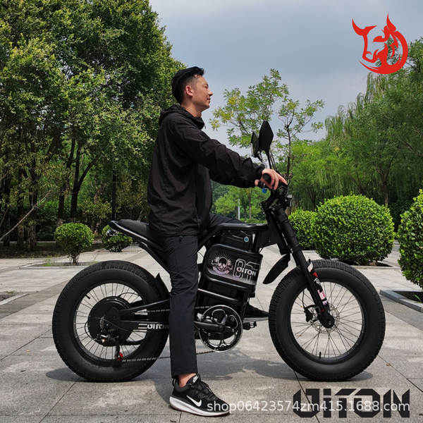 Motocicleta elétrica recém-chegada americana de 20 polegadas 60V3000W25AH bicicleta de montanha elétrica de longa duração