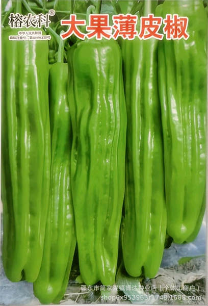 Sementes de Pimenta Miúda