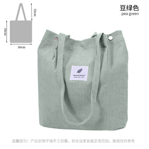 ins风简约灯芯绒帆布包双肩带帆布袋旅行外出收纳包女包单肩包