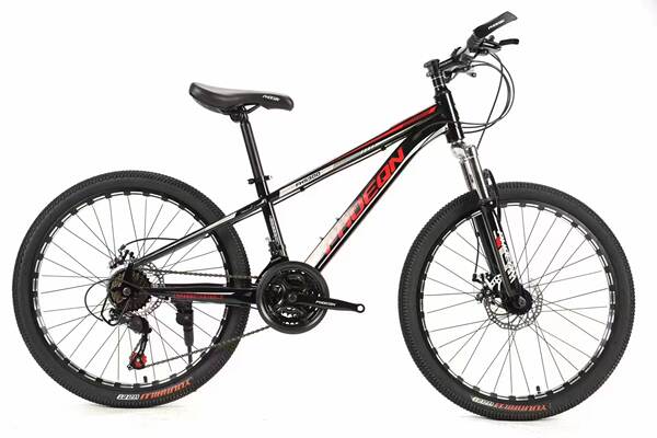 Bicicleta de Montanha com Freio a Disco