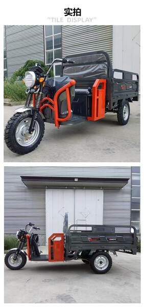 Triciclo Elétrico