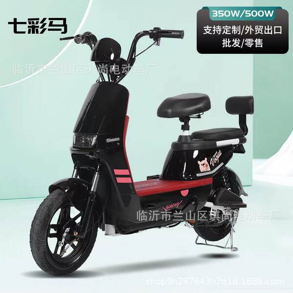 2024 carro elétrico de venda a quente bicicleta de duas rodas adulto garrafas elétricas para caminhão fábrica de exportação