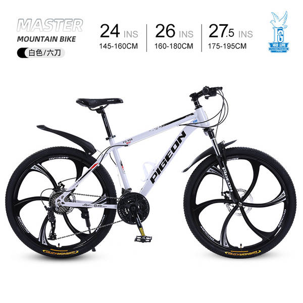 Bicicleta de Montanha 24 Polegadas
