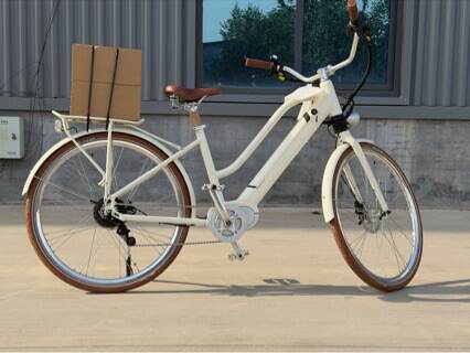 Exportação alemã Suíça bicicleta elétrica de assistência feminina para a universidade masculina masculina de 27,5 centímetros