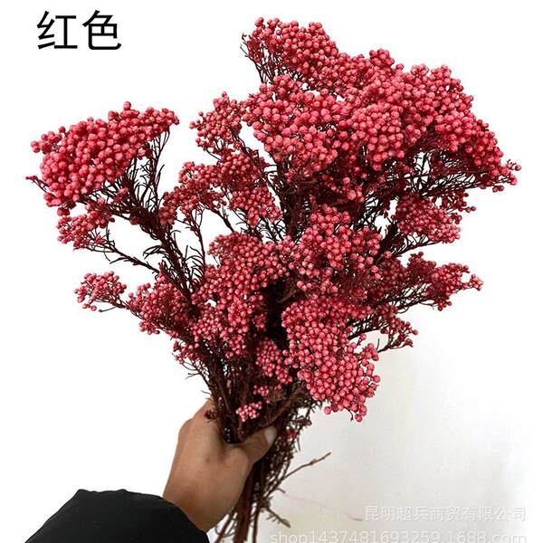 Flores da vida eterna, flores da vida eterna