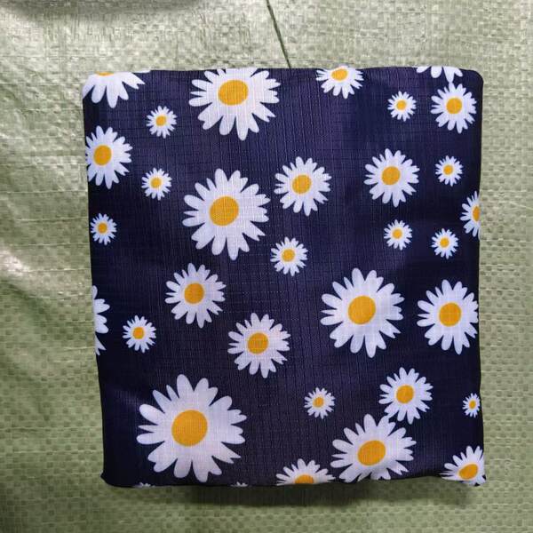 Mochila de Viagem Portátil