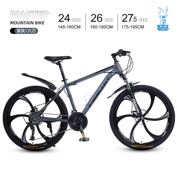 Bicicleta de Montanha 24 Polegadas