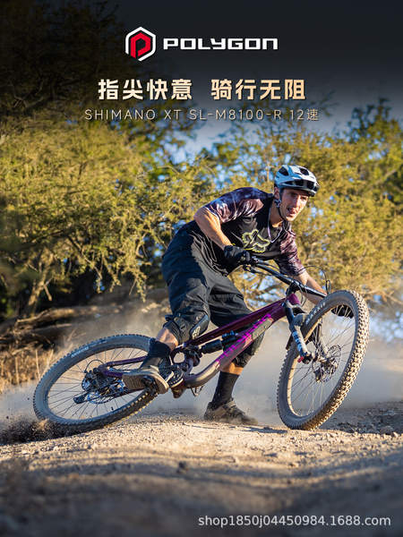 POLYGON Collosus N9 Enduro automóvel de montanha-russa de liga de alumínio