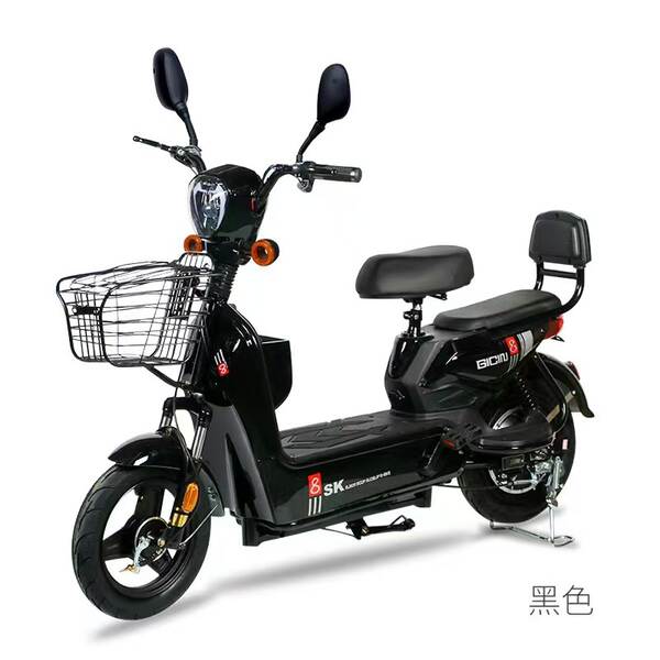 Bicicleta Elétrica