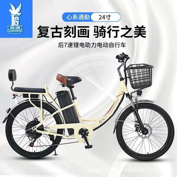 Bicicleta Elétrica para Adultos
