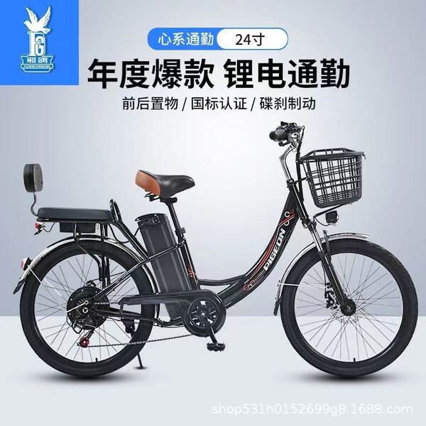 Bicicleta Elétrica para Adultos