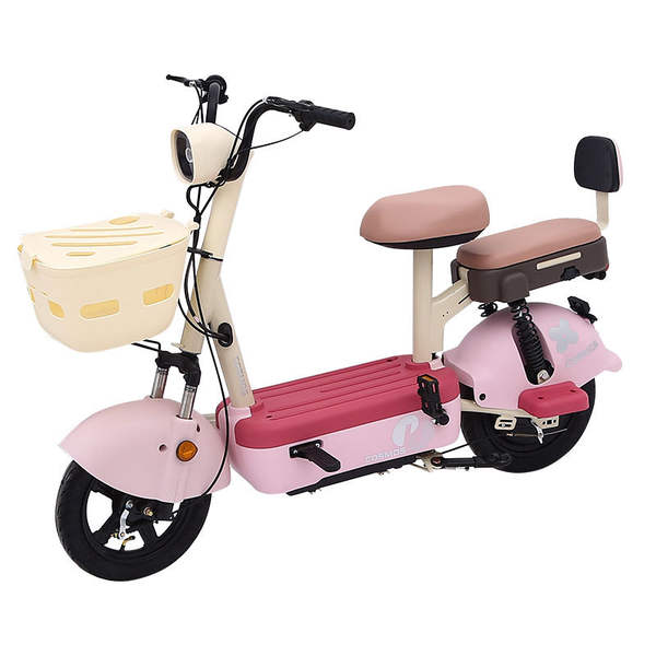 Bicicleta Elétrica de Duas Rodas