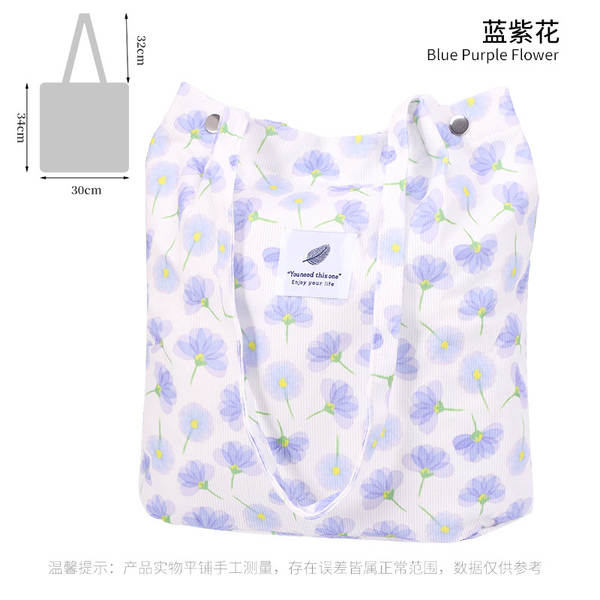 ins风简约灯芯绒帆布包双肩带帆布袋旅行外出收纳包女包单肩包