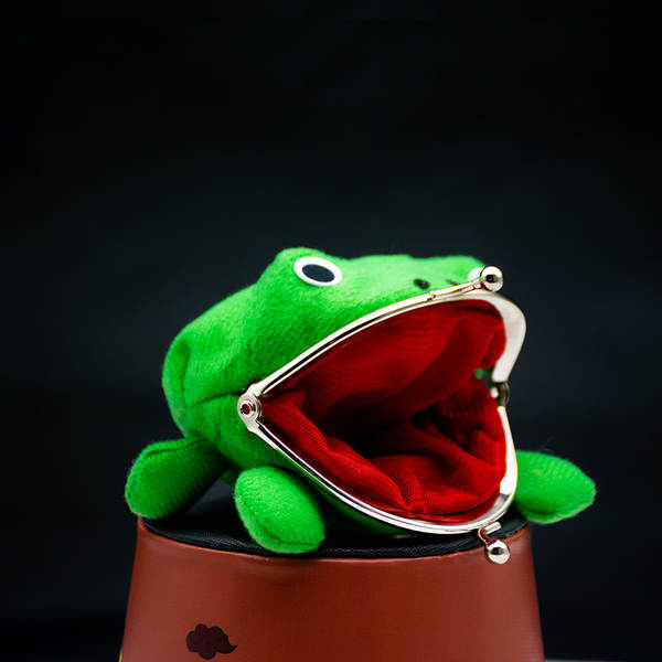 Bolsa de Dinheiro de Sapo Animado