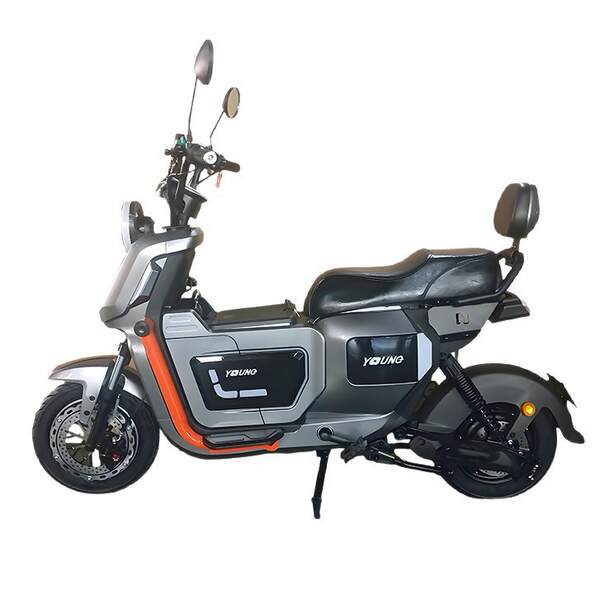 Bicicletas elétricas para adultos com duas rodas  Carro elétrico para adultos com duas rodas