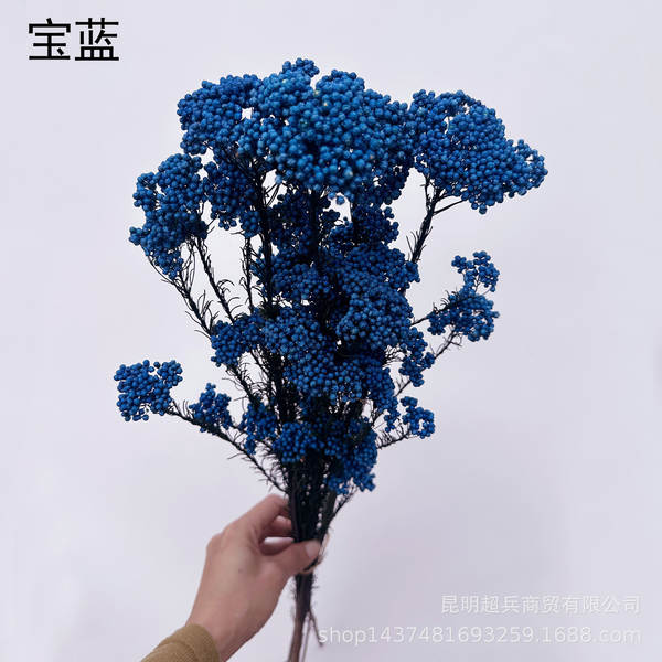 Flores da vida eterna, flores da vida eterna