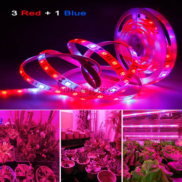 Luz transfronteiriça de crescimento de plantas USB 5V2835LED3 vermelho 1 azul-vermelho-azul Espectroscópico de iluminação composta de piscinas de iluminação