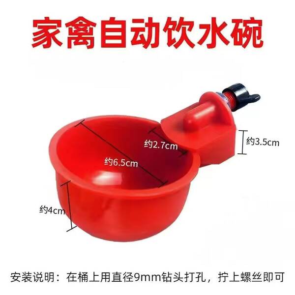 Bebedouro Automático para Aves