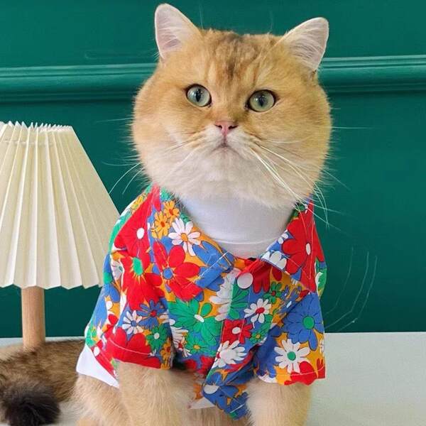 Cães roupas Cães Pequenos Cães Verão T-shirts Flores Roupa de praia Sennarico Quibago Gato Bear Pets