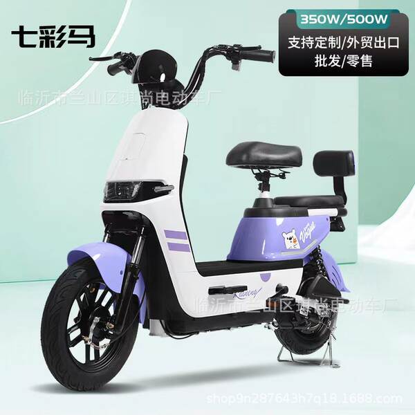 2024 carro elétrico de venda a quente bicicleta de duas rodas adulto garrafas elétricas para caminhão fábrica de exportação